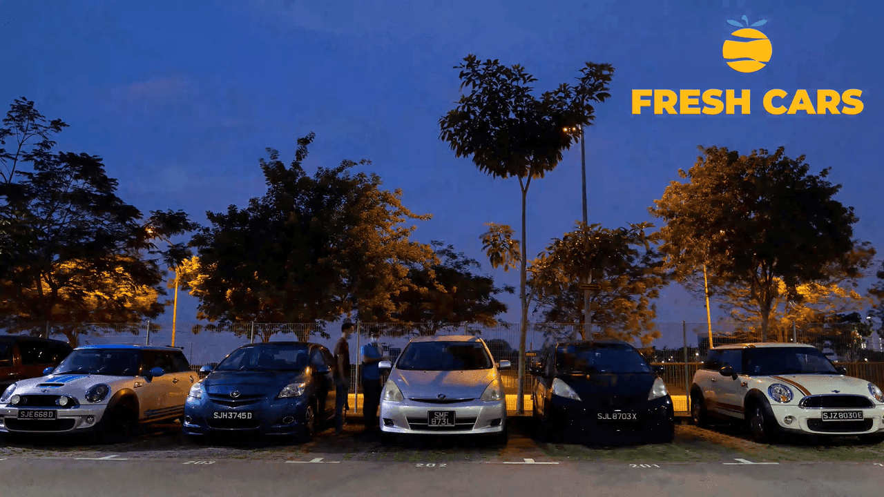 Fresh Cars company overview video