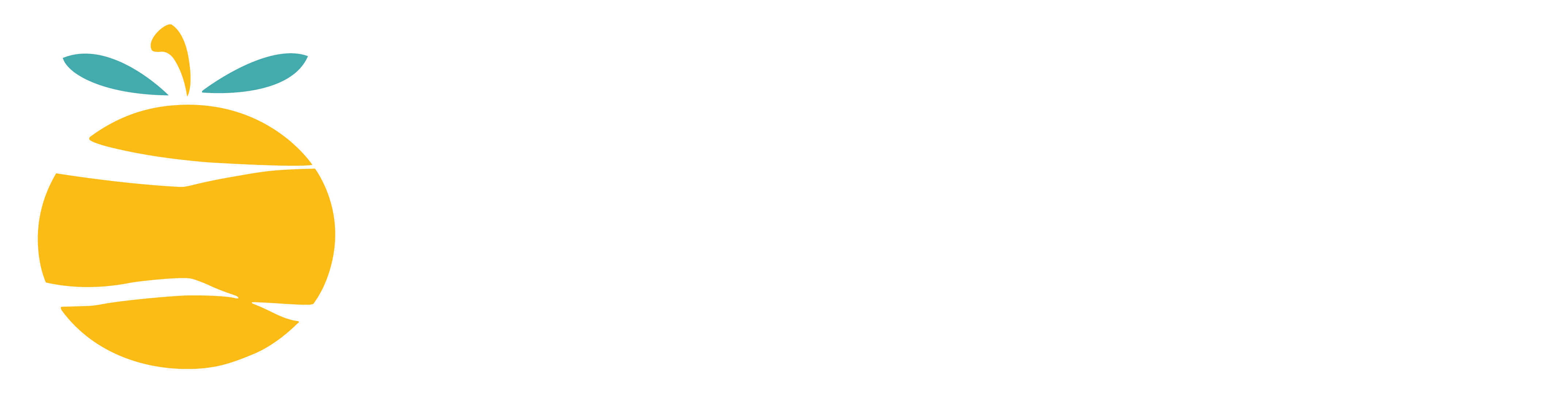 fc footer logo